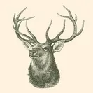 The Deer's Head