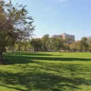 Union Park