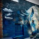 White Horse Black Mountain