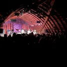 Codfish Hollow Barnstormers