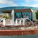 Dignity Health Arena