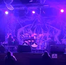 Stereo Garden