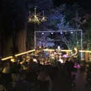 The Treehouse