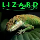 Lizard Lounge