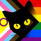 Black Cat