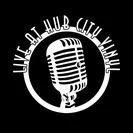 Live at Hub City Vinyl