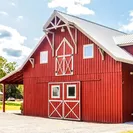 By Faith Farm