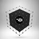 The Black Box