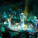 David Lee & The Jose Armadillo Road Show