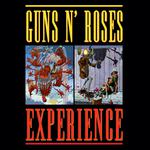 The Guns N' Roses Experience UK