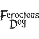 Ferocious Dog + The Cloverhearts, Stockton-On-Tees - The Georgian Theatre