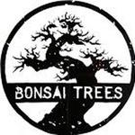 Bonsai Trees