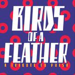 Birds of a Feather Phish Tribute