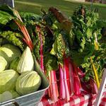 John Jay Homestead Farmers Market