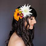 Moore Music Outdoor Minifest 