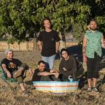 Excellency Music Festival 2026