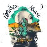 Rockport Songwriter Festival 2026