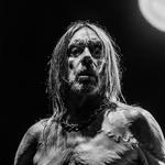 IGGY POP | STADTPARK | HAMBURG