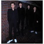 Thee Michelle Gun Elephant