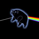Pigs On The Wing - Portland, OR Pink Floyd tribute