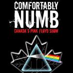Comfortably Numb - Canada's Pink Floyd Show