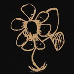 Saetia