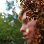 Charlie Boy