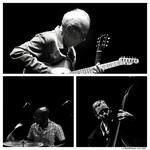 JAZZ SOUS LES POMMIERS :: Bill Frisell Trio featuring Thomas Morgan & Rudy Royston