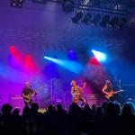 Hearts & Hand Grenades