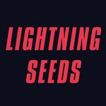 Rick Astley & Lightning Seeds