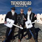 ThunderBeard: A Tribute to ZZ Top