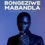 Bongeziwe Mabandla