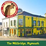 Howlin' in The Millbridge, Plymouth