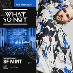 What So Not