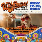 Wildflower Arts & Music festival 2024