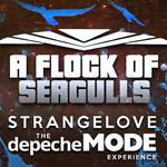 A Flock of Seagulls with Strangelove-The DEPECHE MODE Exp at Warner Vineyards