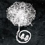 The Paradox Twin