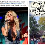 Franklin Blues and BBQ Festival 2024