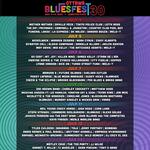 Ottawa Bluesfest 2024