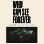 Who Can See Forever