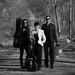 Salzburg Guitar Trio