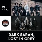DARK SARAH - LOST IN GREY