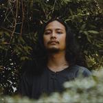 Beyond The Trees Vol. II