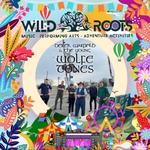 Live at - Wild Roots Festival  - Sligo 