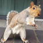 test test fest v2 2027