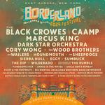 Borderland Music Festival 2024