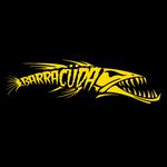 Barracüda