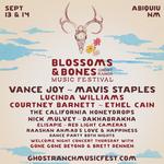 Blossoms & Bones Ghost Ranch Music Festival 2024