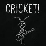 Cricket!