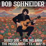 Bob Schneider (Solo) @ Dosey Do